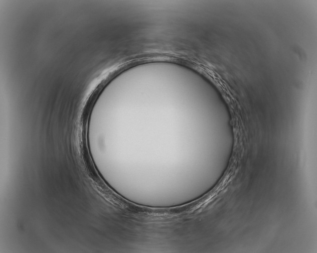 X0000113340342200909151010