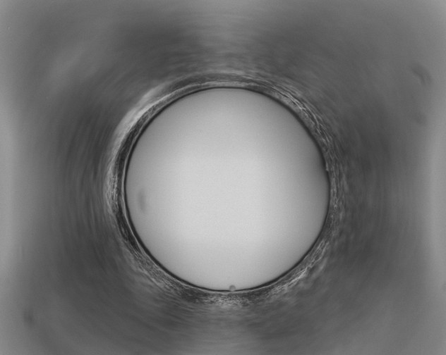 X0000113340343200909151010