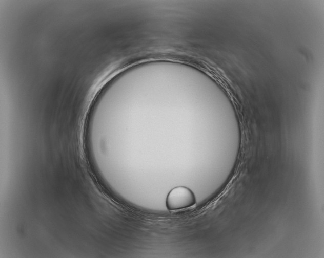 X0000113340344200909151010