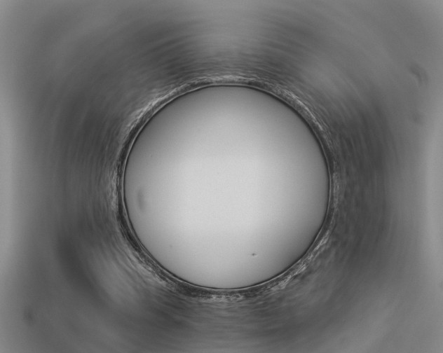 X0000113340345200909151010