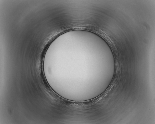 X0000113340346200909151010
