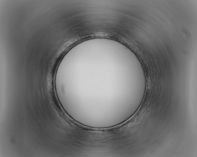 X0000113340347200909151010