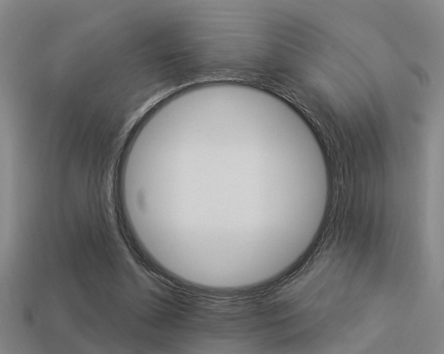 X0000113340348200909151010