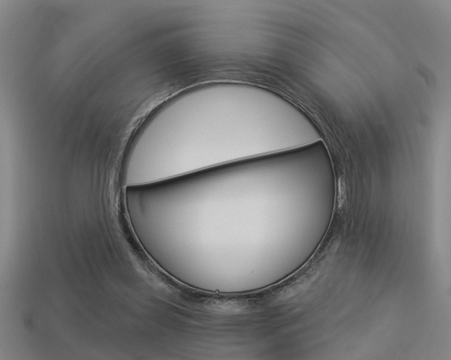 X0000113340349200909151010