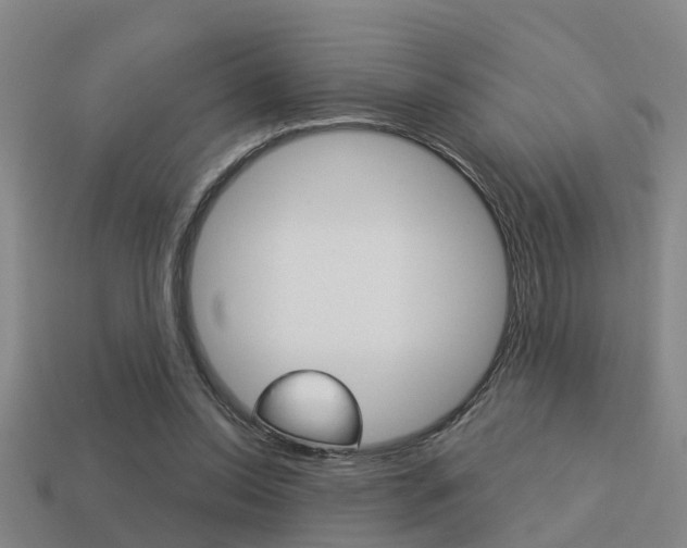 X0000113340350200909151010