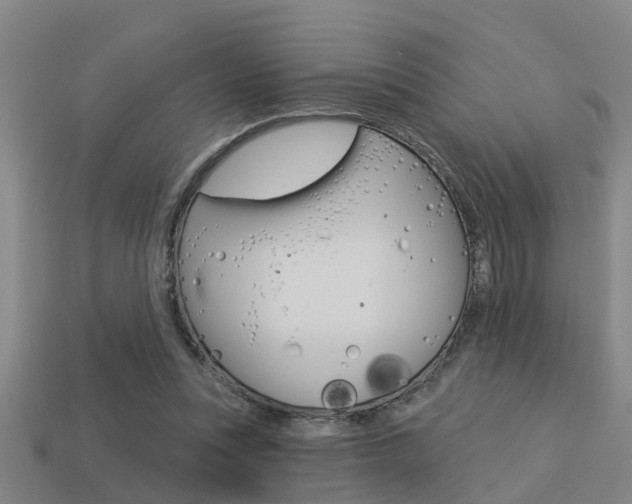 X0000113340351200909151010