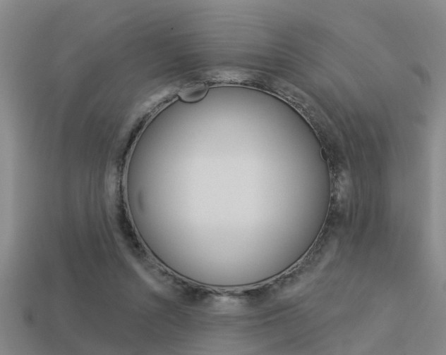 X0000113340352200909151010