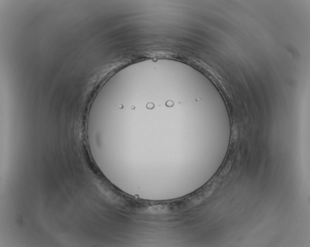X0000113340353200909151010