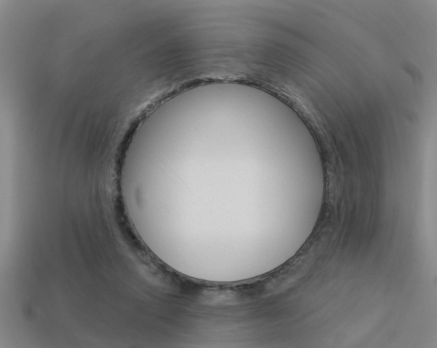 X0000113340354200909151010