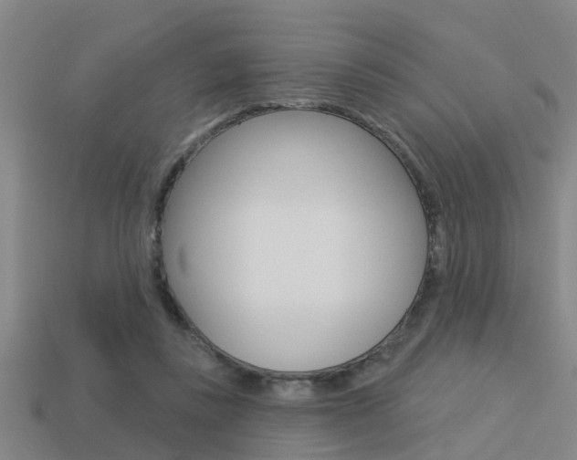 X0000113340355200909151010