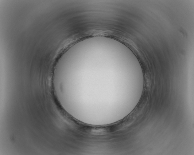 X0000113340357200909151010