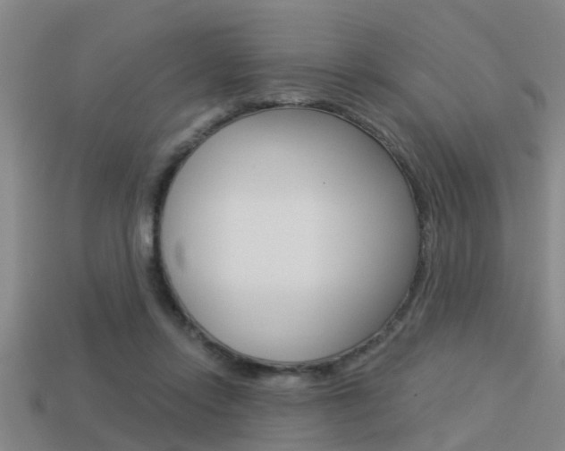 X0000113340358200909151010