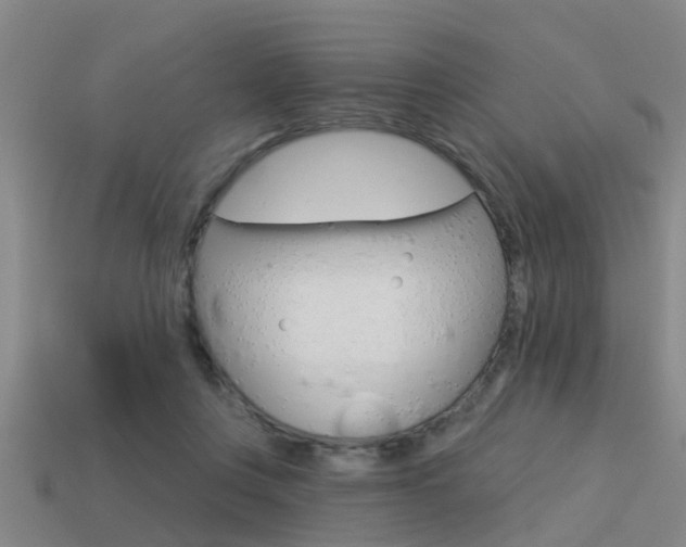 X0000113340359200909151010