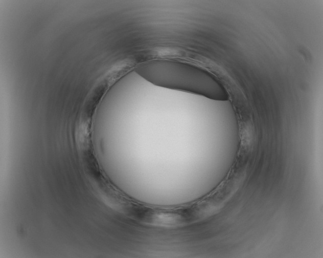 X0000113340360200909151010