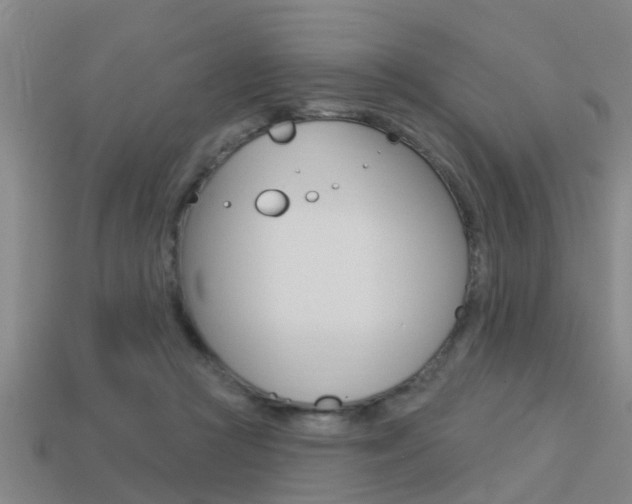 X0000113340361200909151010