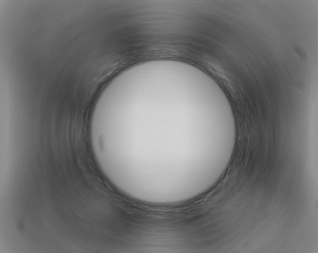 X0000113340362200909151010