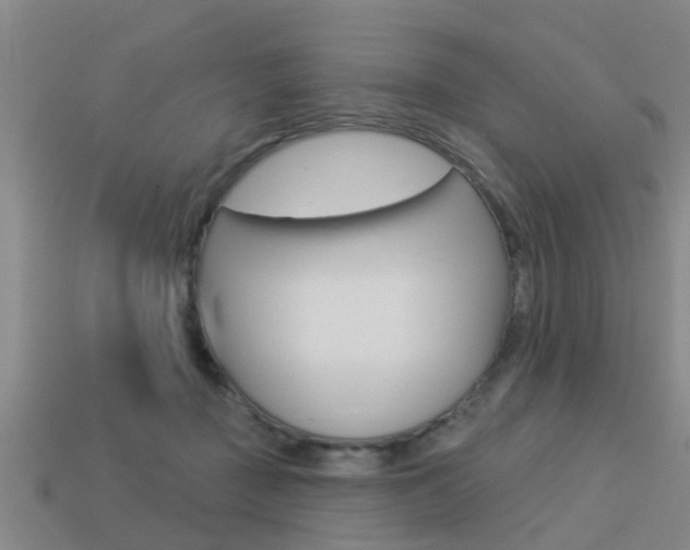 X0000113340363200909151010