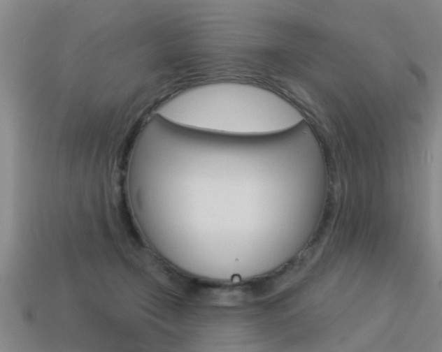 X0000113340366200909151010