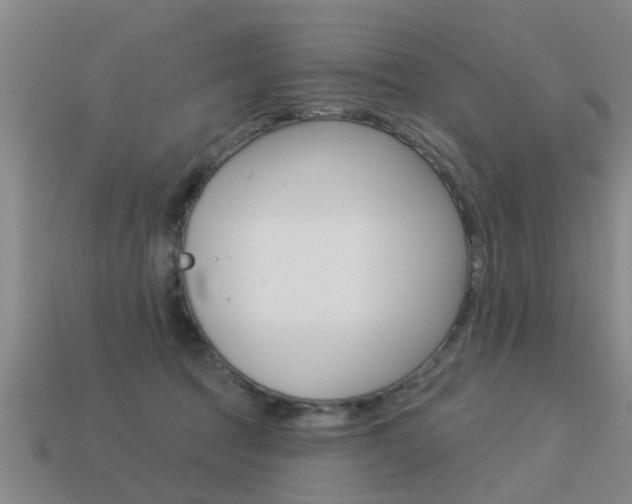 X0000113340369200909151010