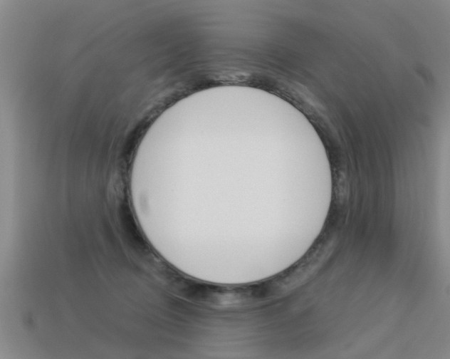 X0000113340370200909151010