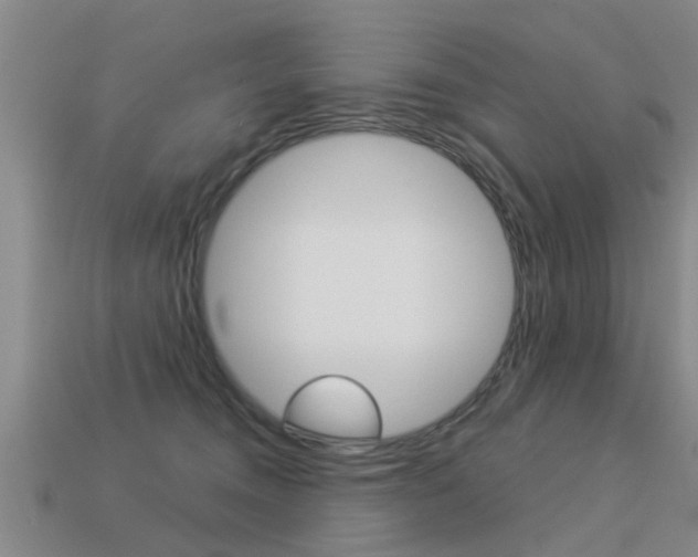 X0000113340372200909151010