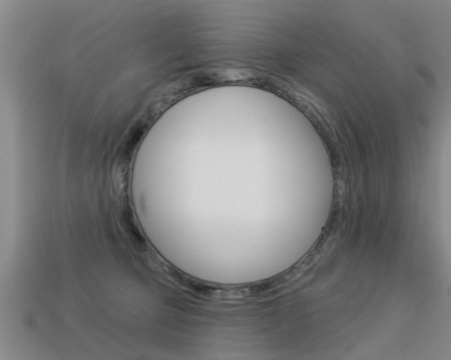 X0000113340373200909151010