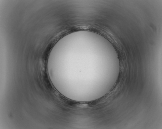 X0000113340374200909151010