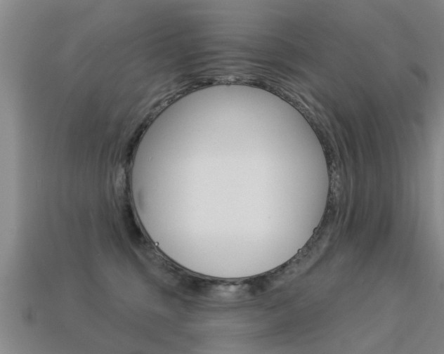 X0000113340375200909151010