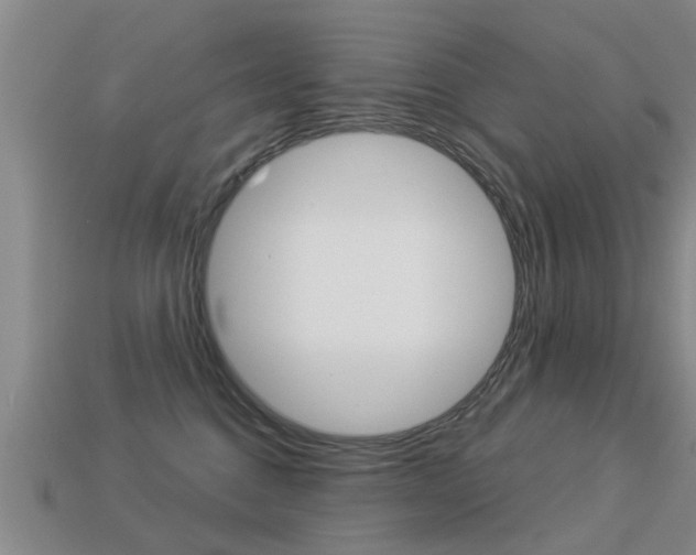 X0000113340376200909151010