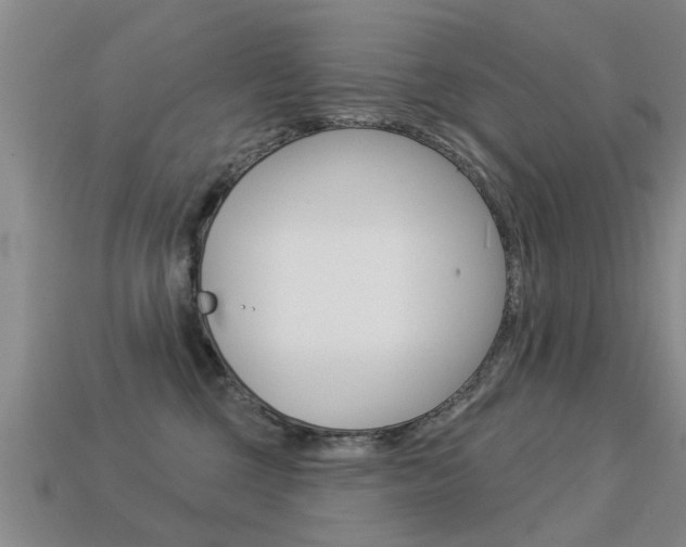 X0000113340377200909151010