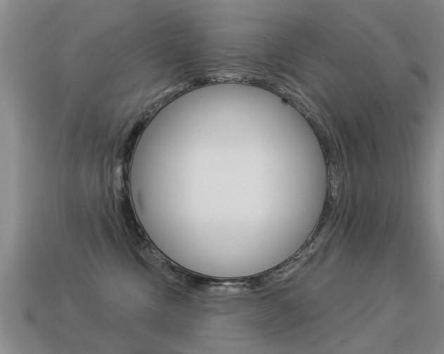 X0000113340378200909151010