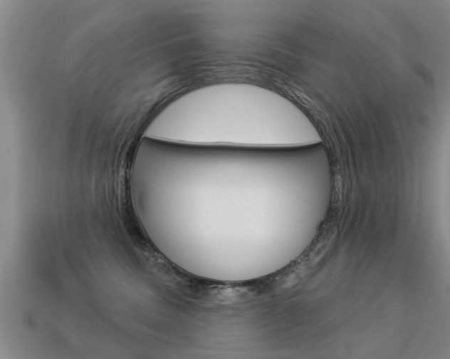 X0000113340379200909151010