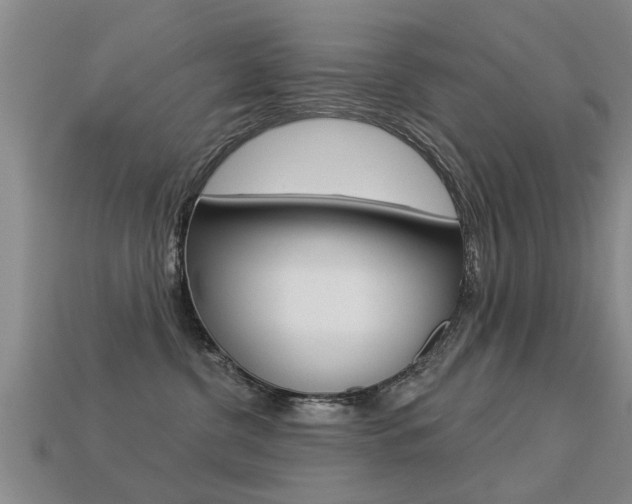 X0000113340380200909151011