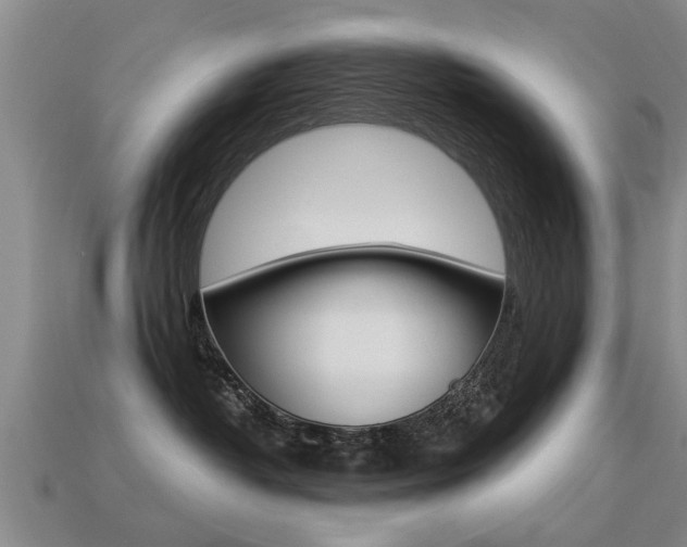 X0000113340382200909151011