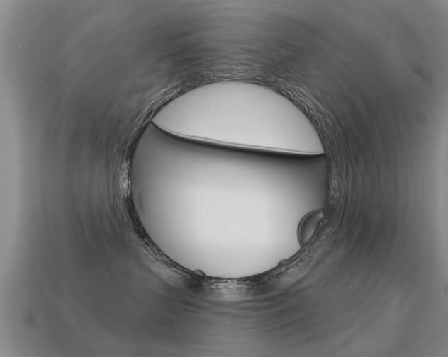 X0000113340383200909151011