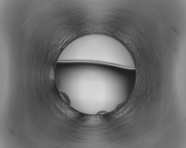 X0000113340384200909151011