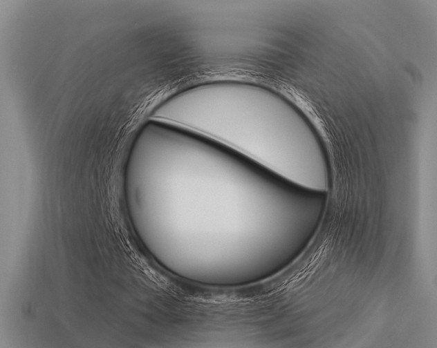 X0000113340385200909151010