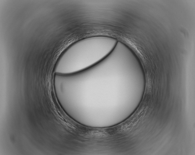 X0000113340386200909151010