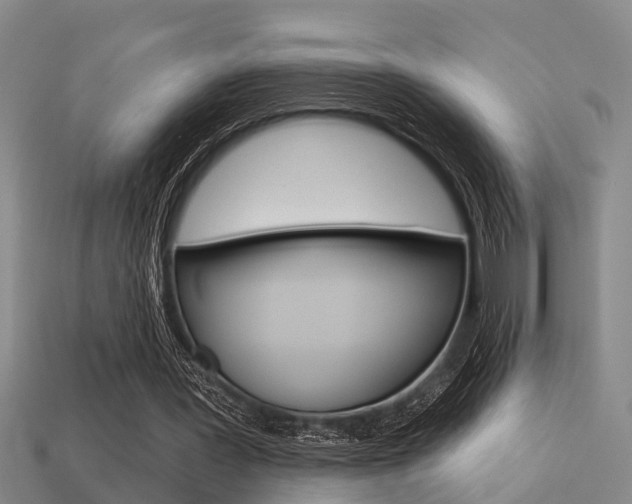 X0000113340387200909151010