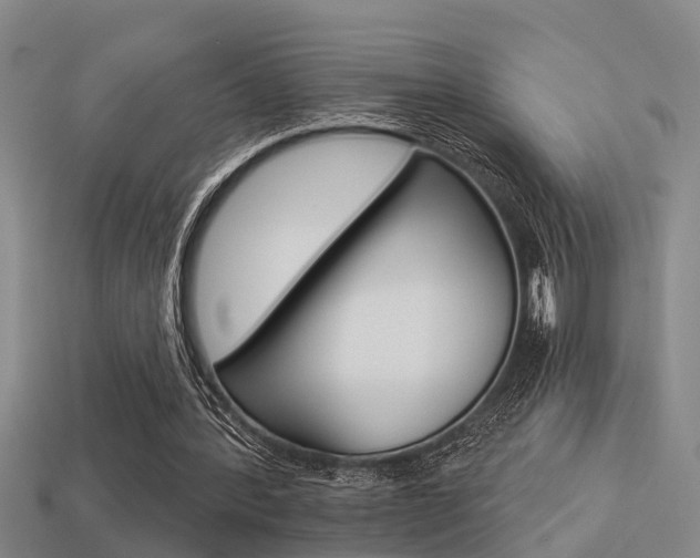 X0000113340388200909151010