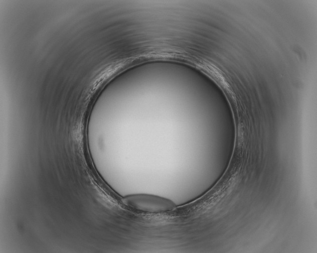 X0000113340389200909151010