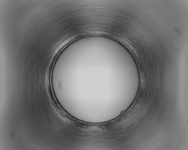 X0000113340390200909151010
