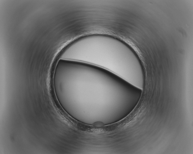 X0000113340391200909151010