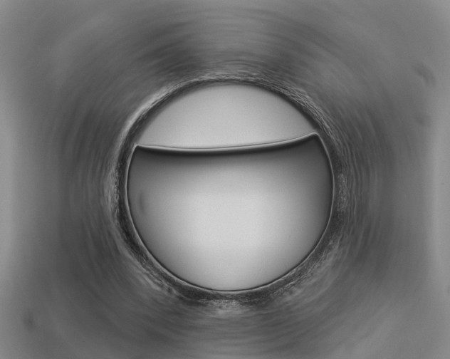 X0000113340392200909151010