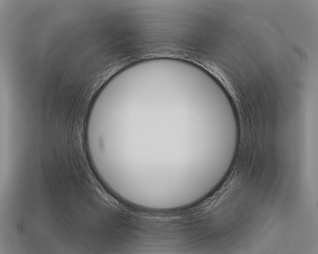 X0000113340393200909151010