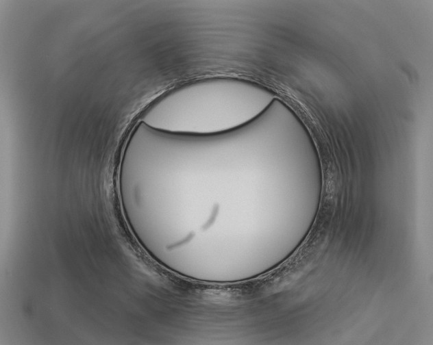 X0000113340394200909151010