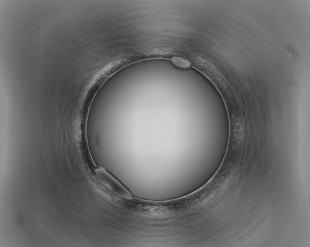 X0000113340395200909151010