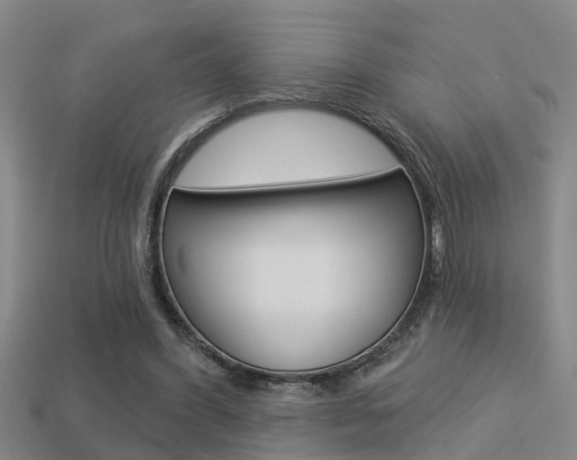 X0000113340396200909151010