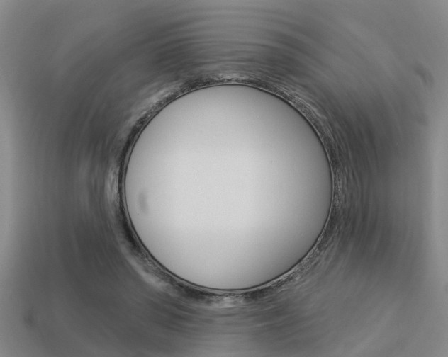 X0000113340398200909151010