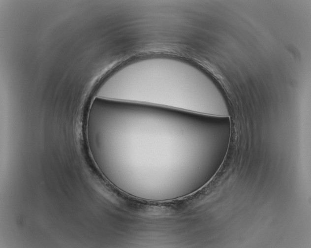 X0000113340399200909151010